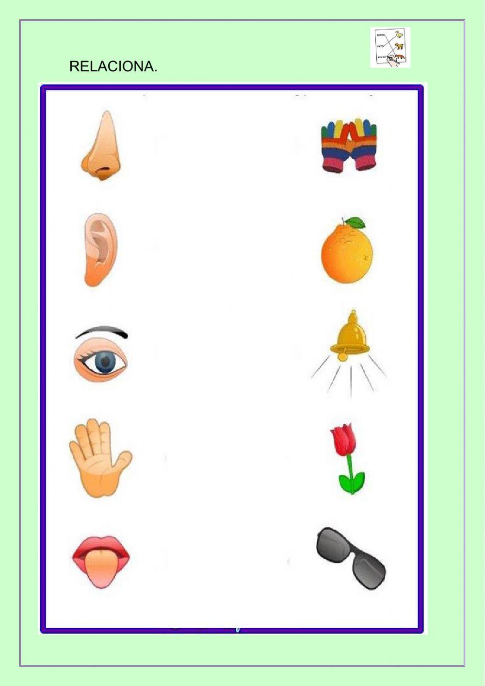 Medi natural i social