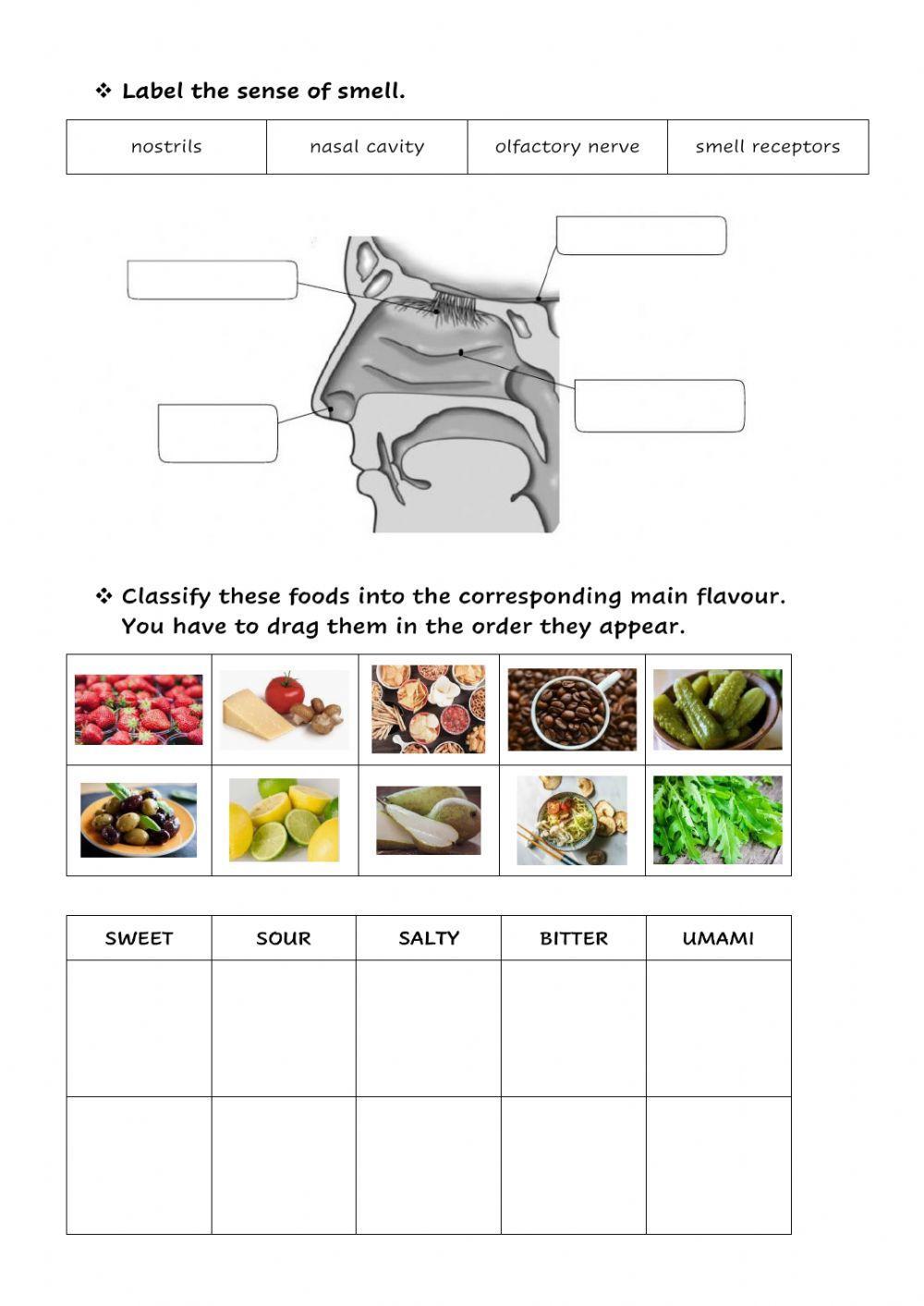 Smell, taste and touch