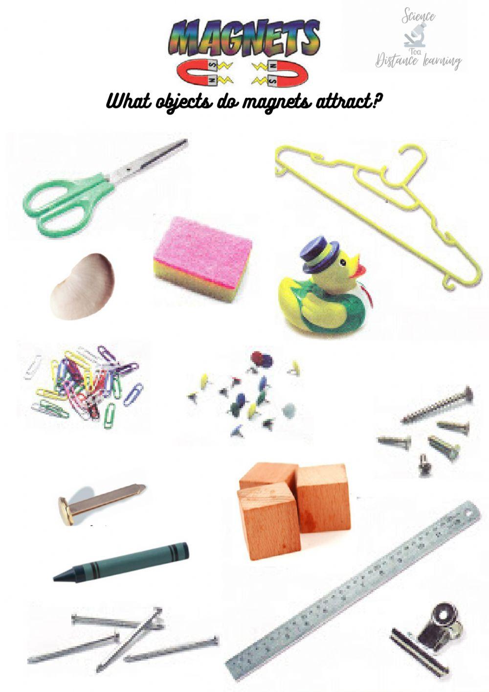 What objects magnets attract