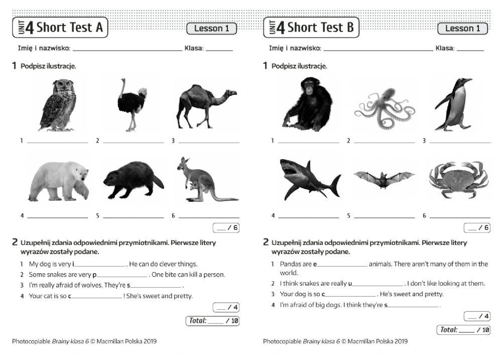 Junior Exploer 4 Test Unit 4 - 5752302 | Brainy6 unit 4 lesson 1 | gelbieta