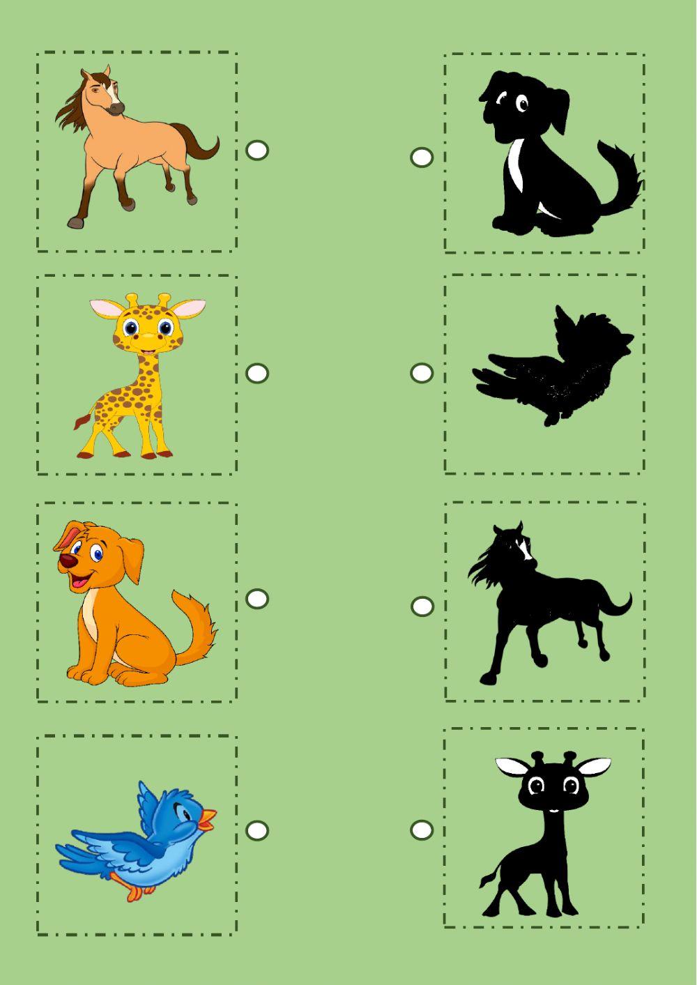 Une los animales con su silueta