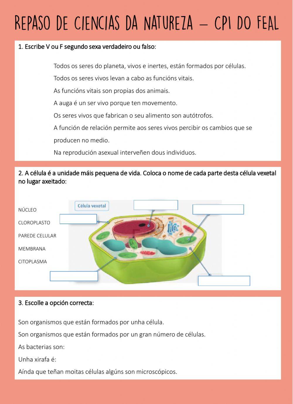 Ciencias da Natureza - Repaso xeral