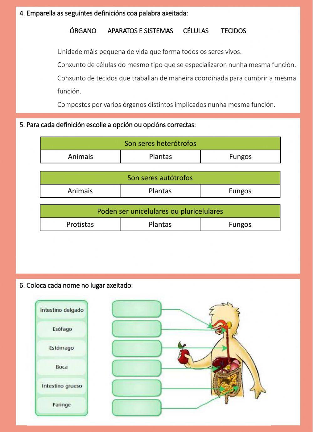 Ciencias da Natureza - Repaso xeral