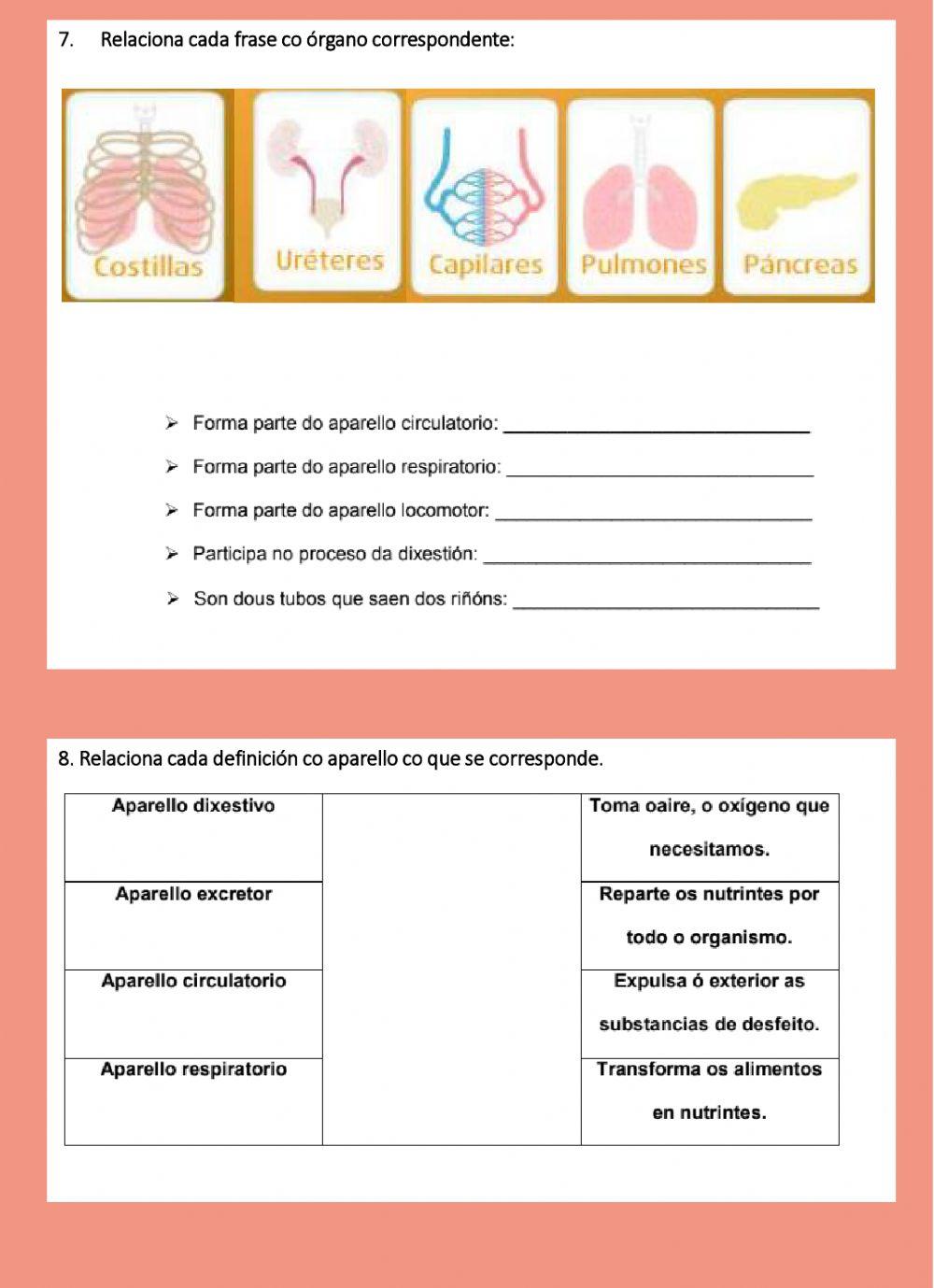 Ciencias da Natureza - Repaso xeral
