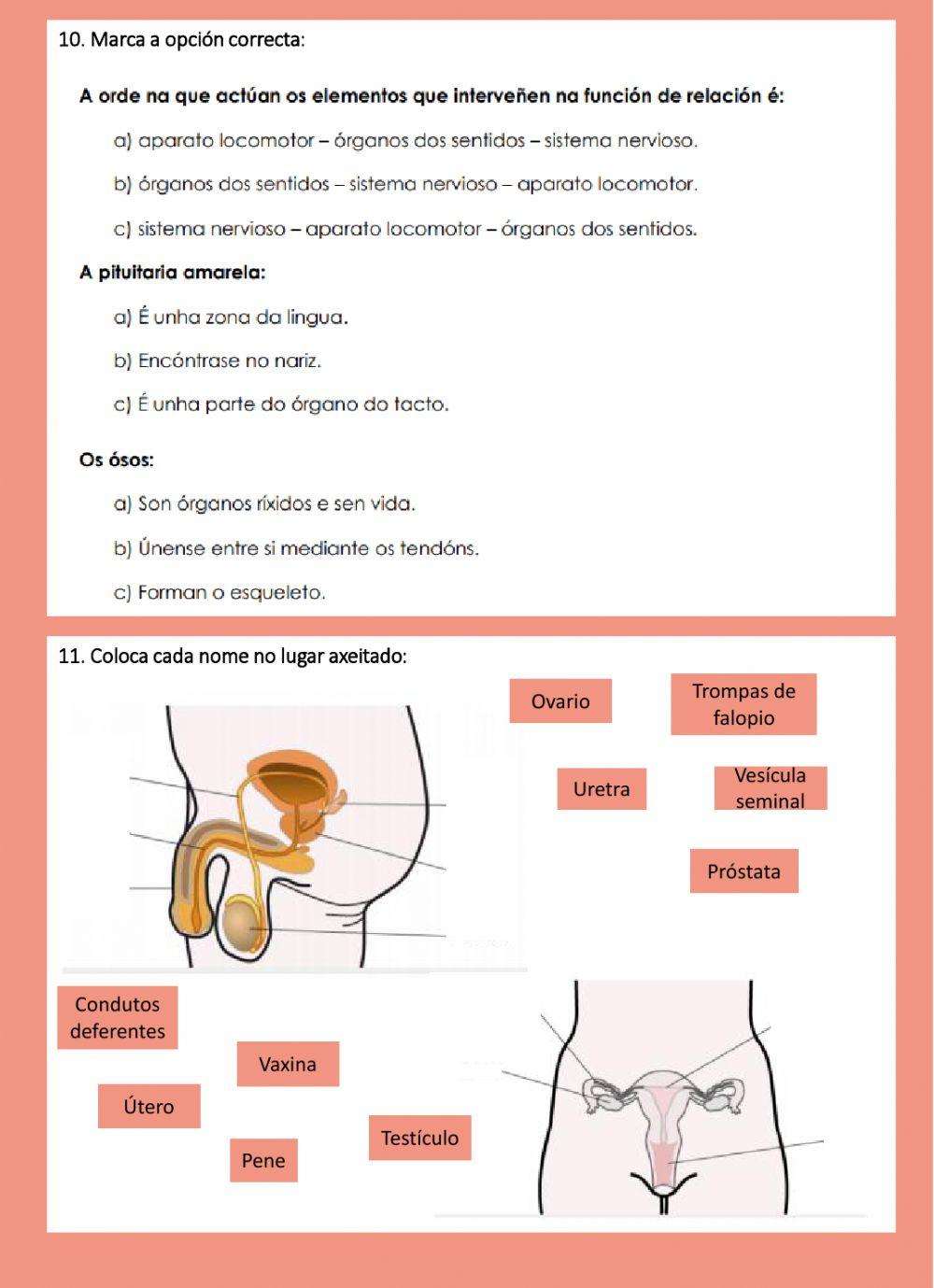 Ciencias da Natureza - Repaso xeral