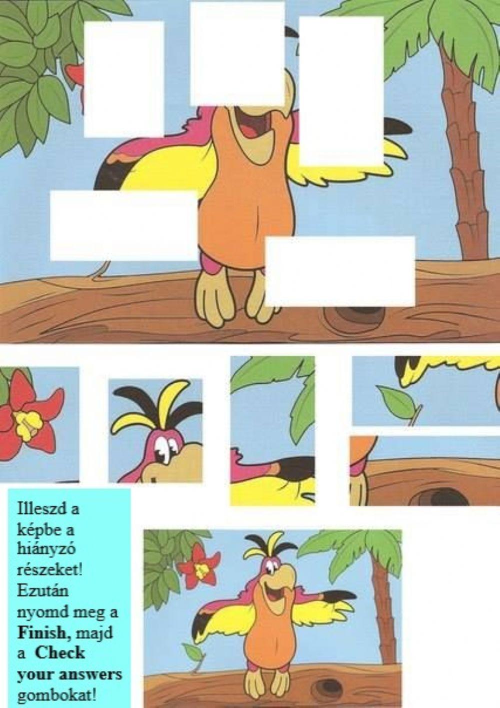 Képkiegészítő - trópusi madár