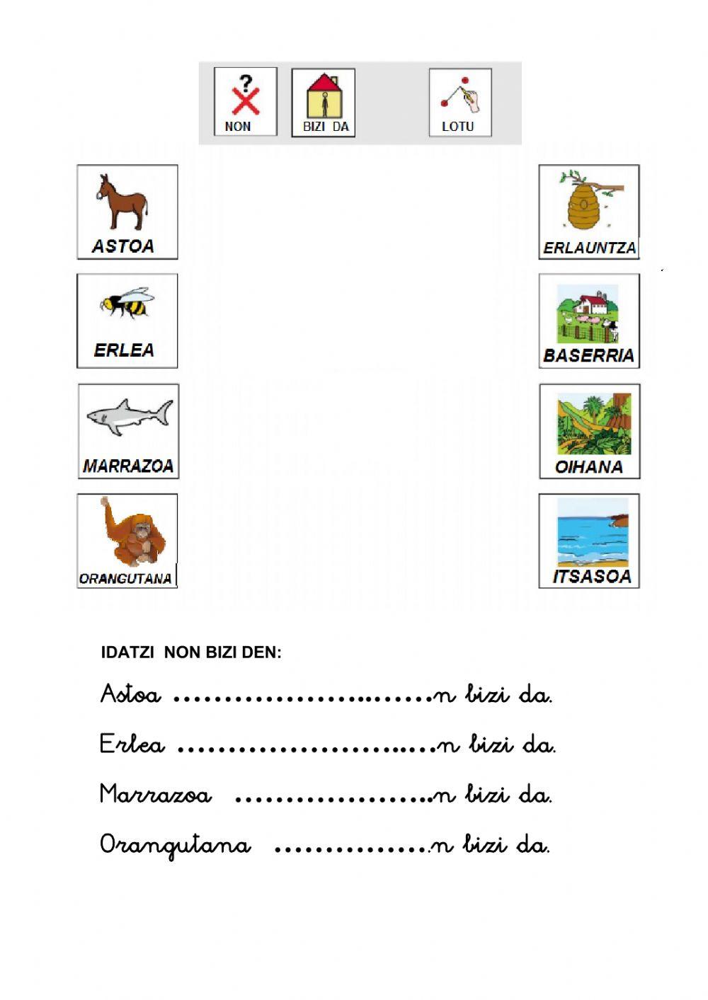 Non bizi dira animaliak