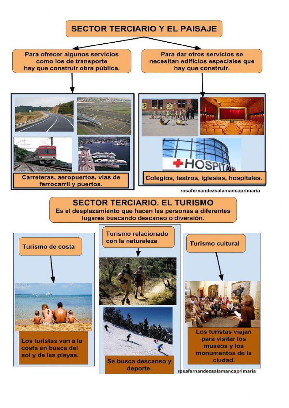 Sector terciario