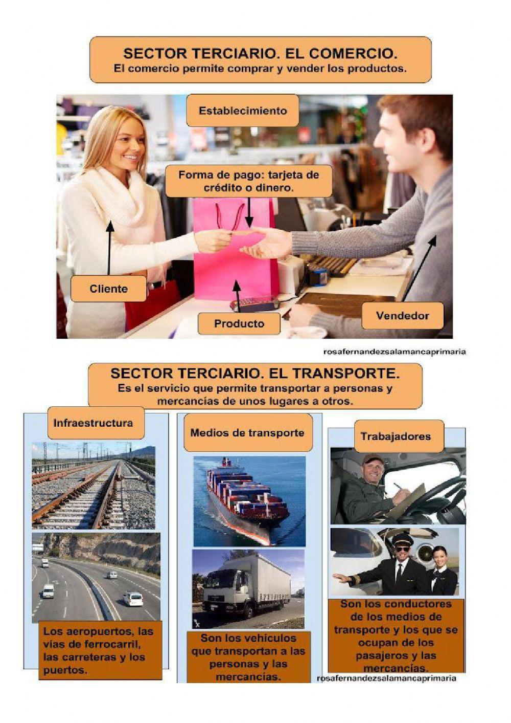 Sector terciario