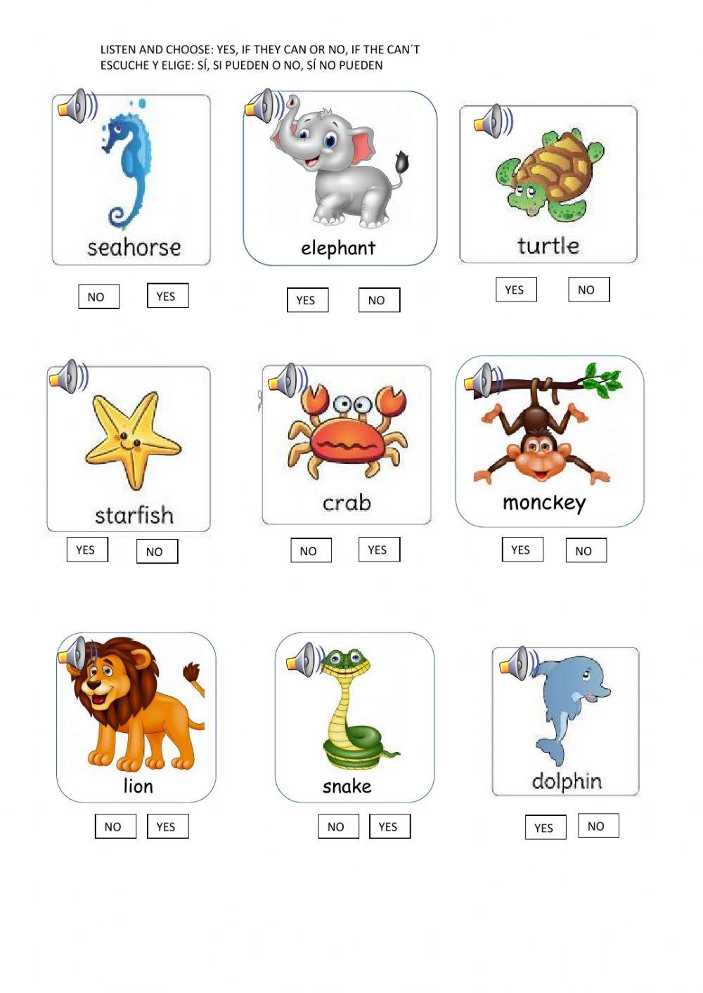 Can or can't with animals