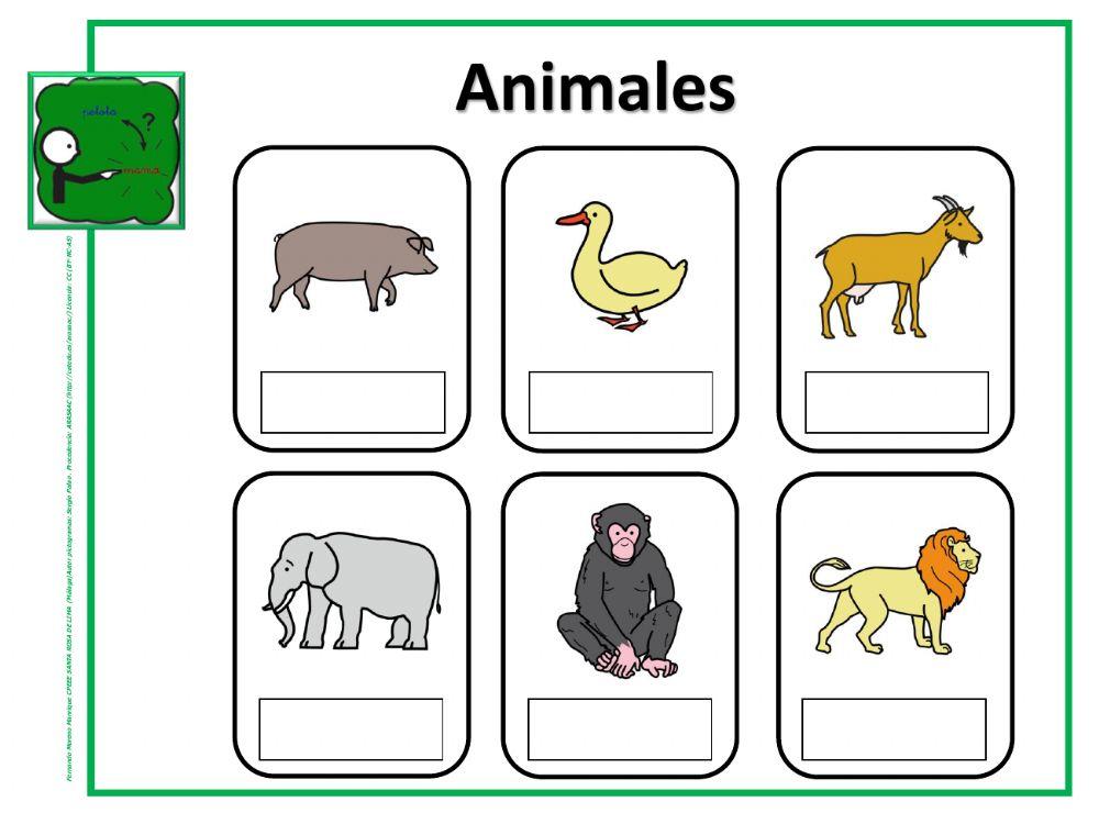 Cómo se llama: animales