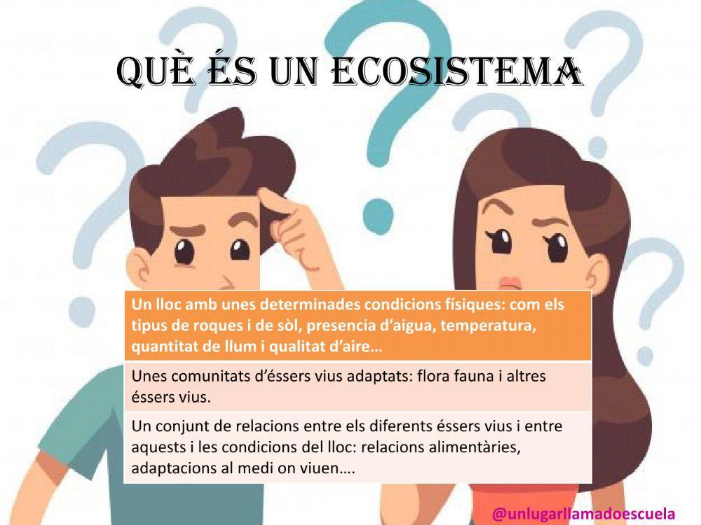 Els ecosistemes