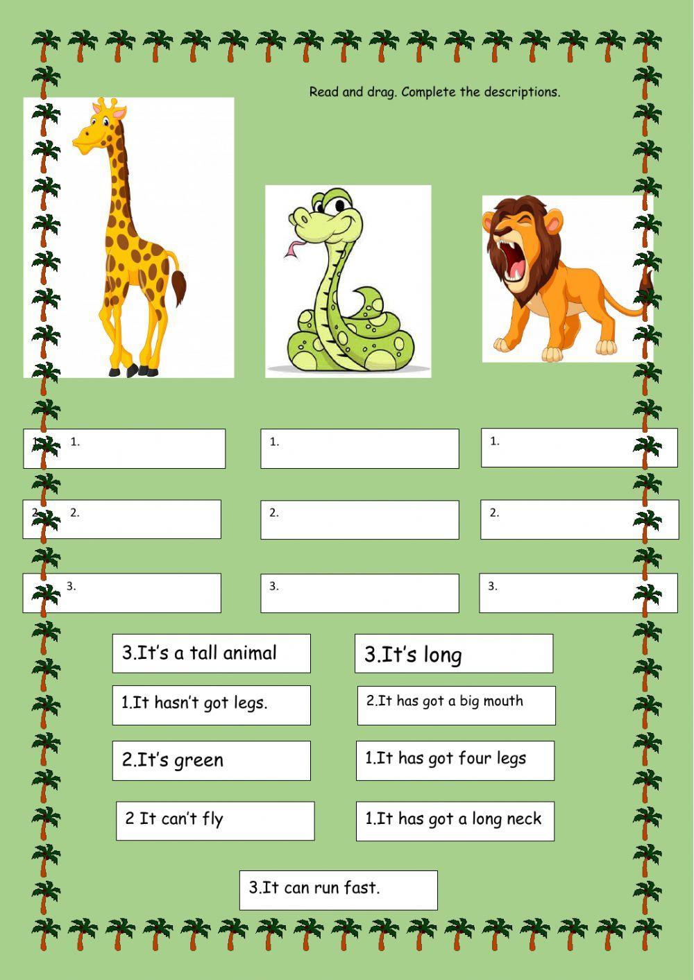 Wild animals descriptions