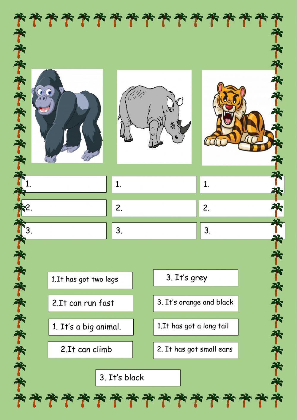 Wild animals descriptions