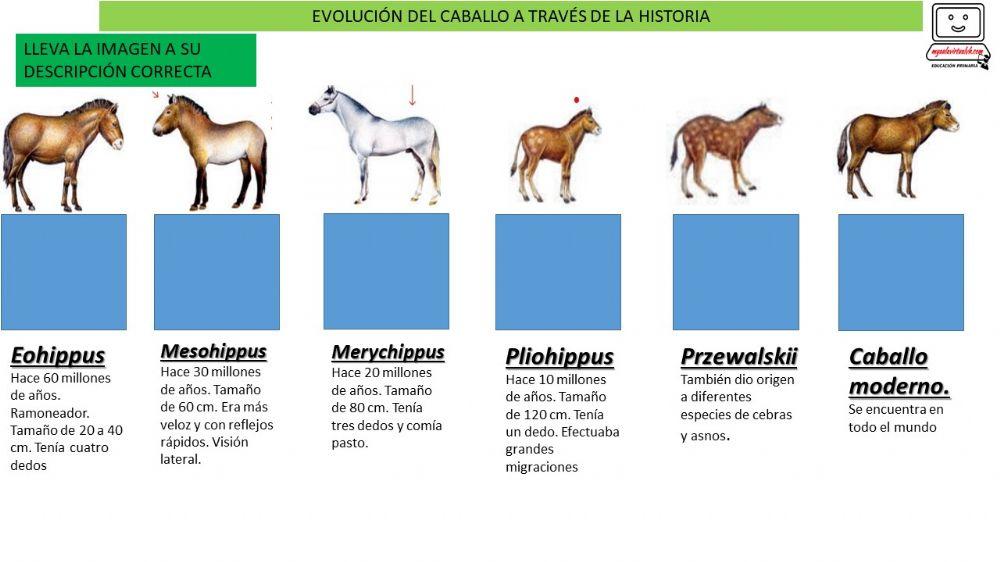 Cambios en los seres vivos y procesos de extinción