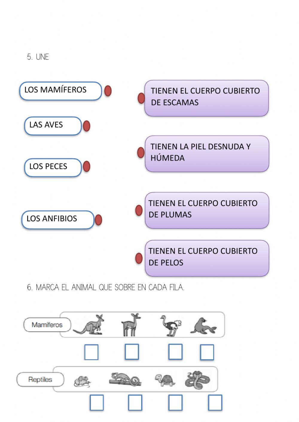 Animales muy difrentes