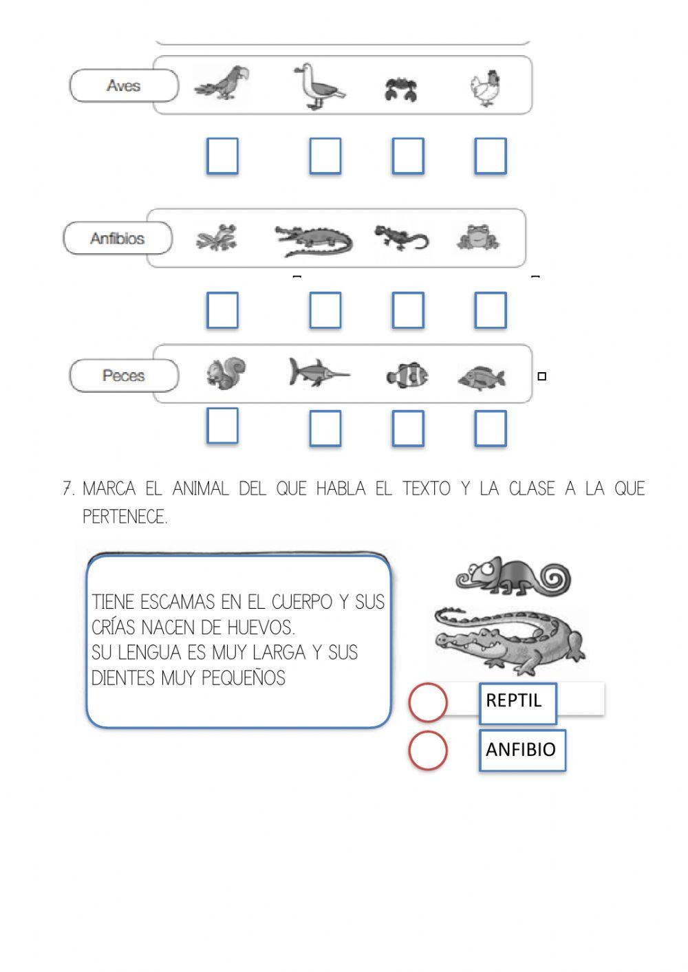 Animales muy difrentes