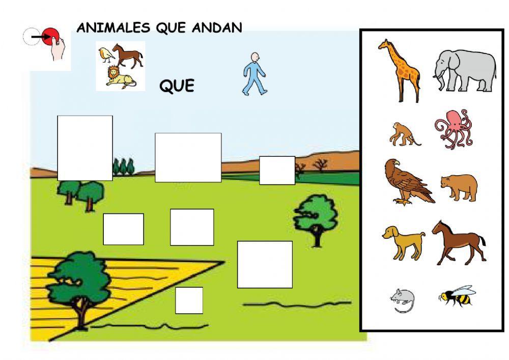 Animales que nadan, vuelan y andan