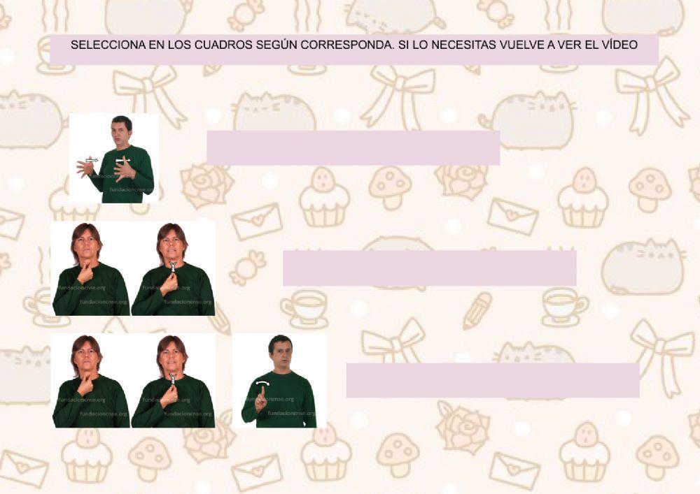 Actividades y gustos en lse