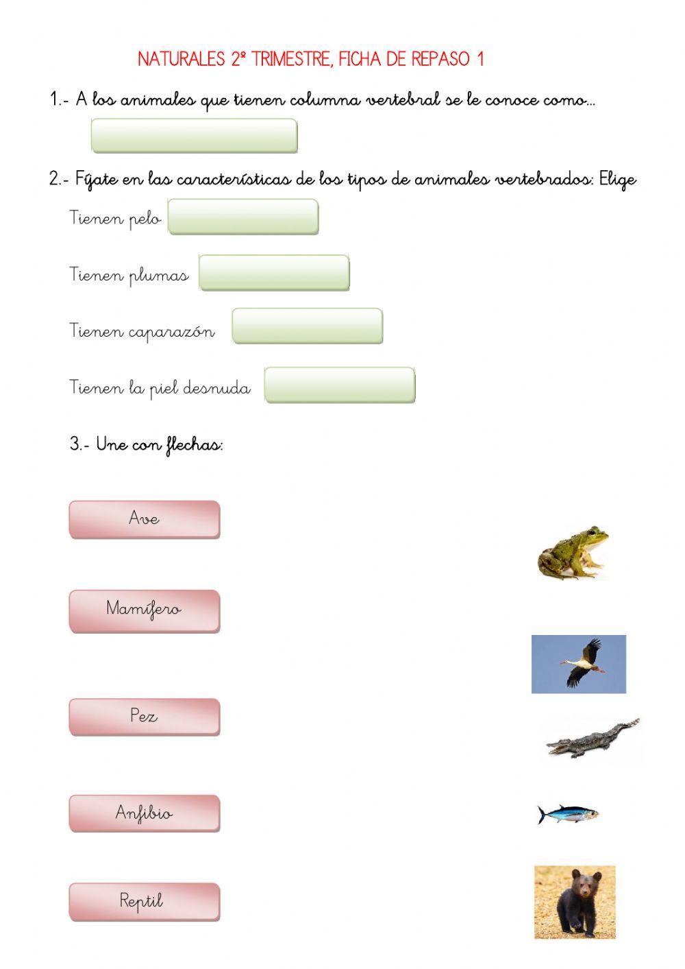 Los animales vertebrados