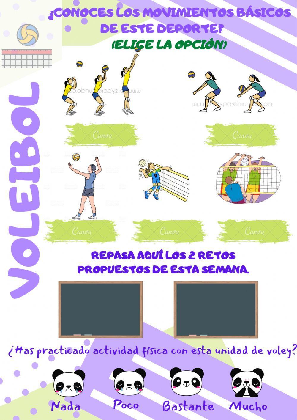 Reto voleibol