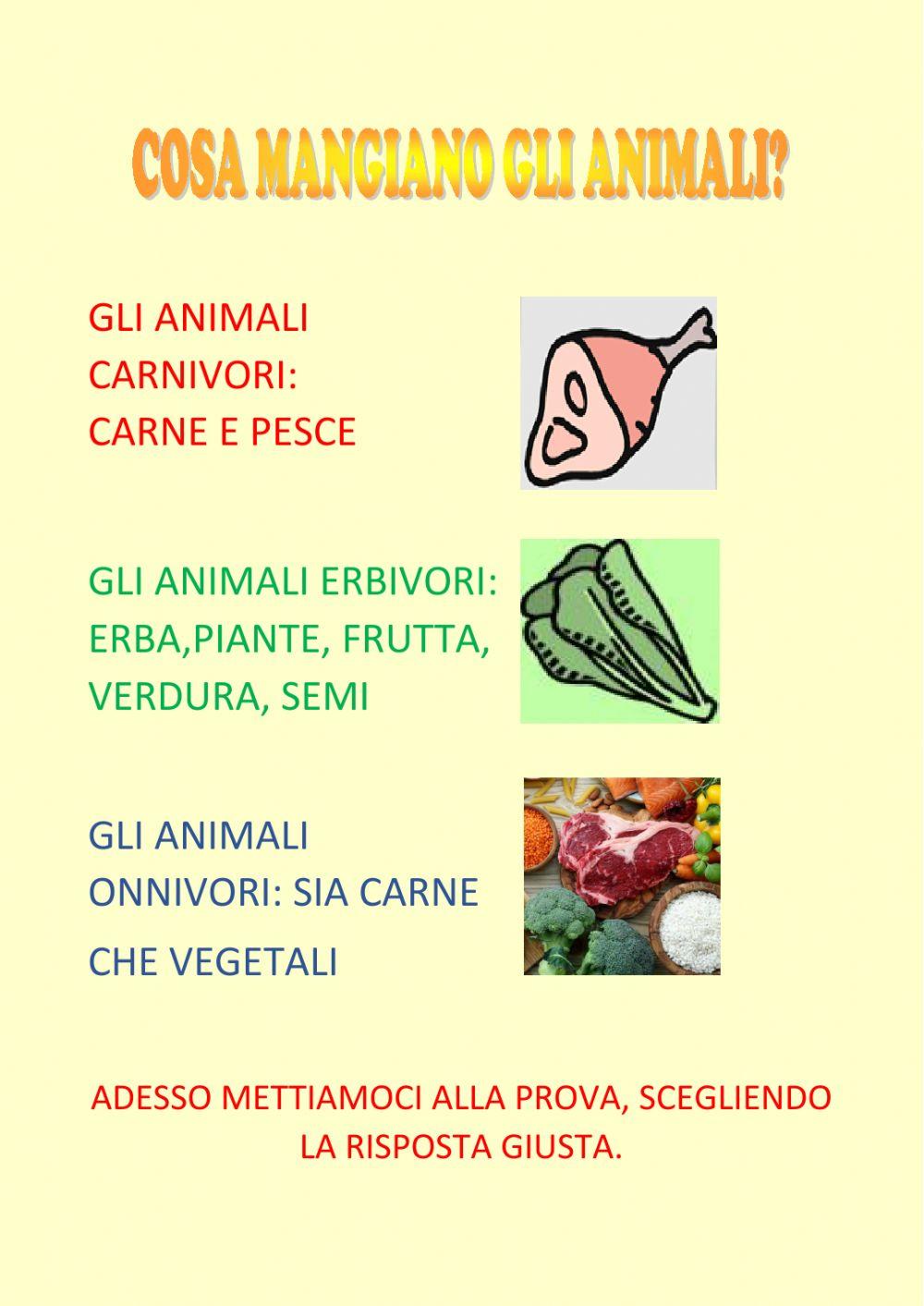 Cosa mangiano gli animali?