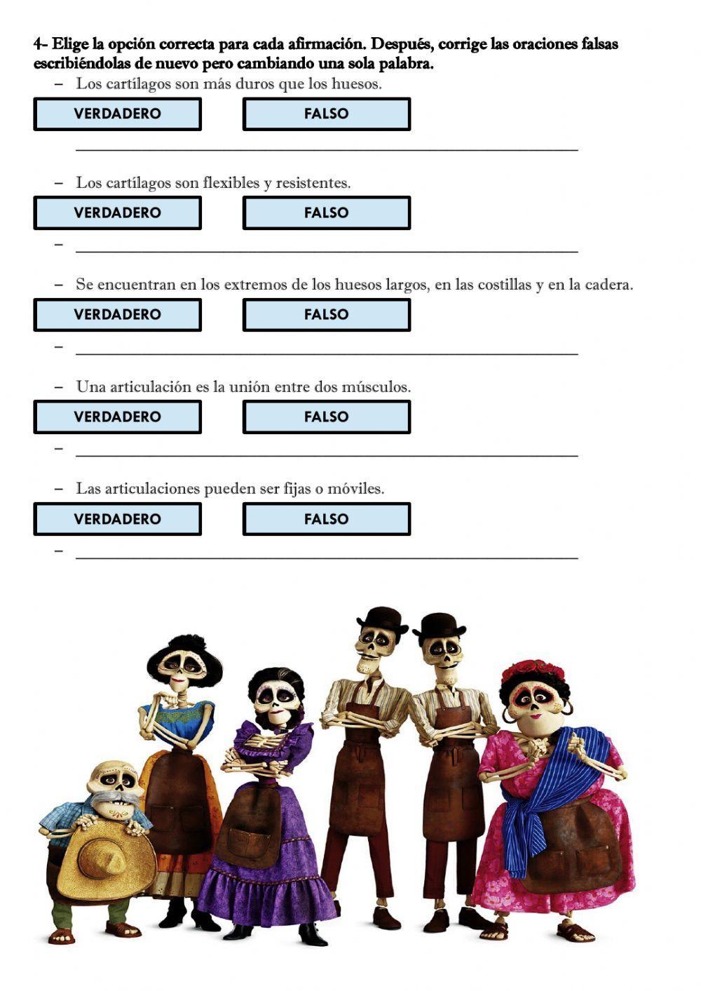 El aparato locomotor: el esqueleto