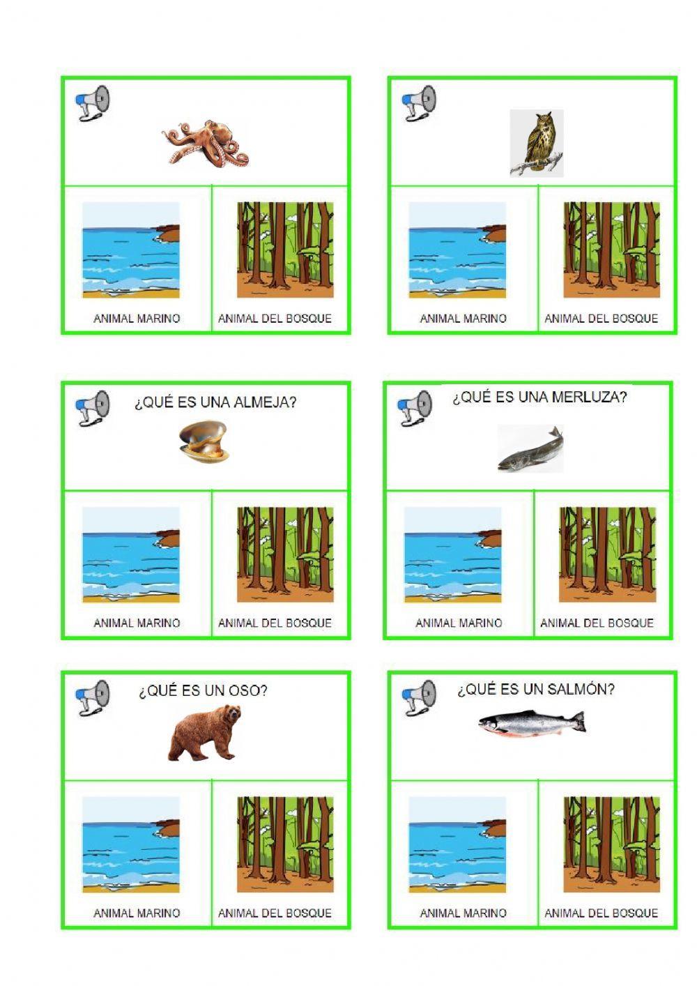 Animales Marinos-Animales del Bosque