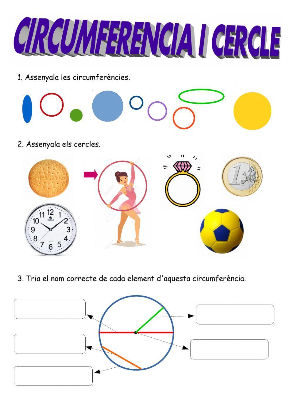 Circumferència i cercle