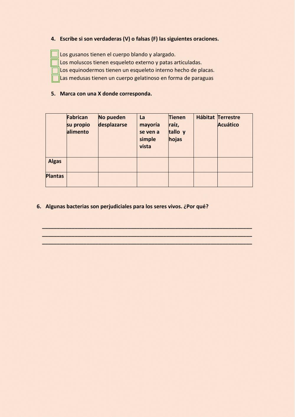 Ficha evaluativa de Ciencias Naturales  Tema 5