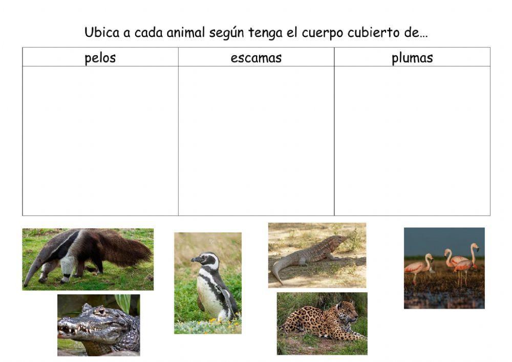 Tiene el cuerpo cubierto de..