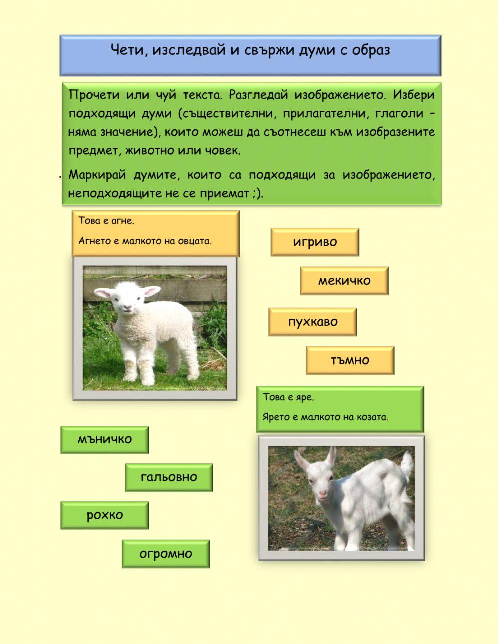 Думи и образи