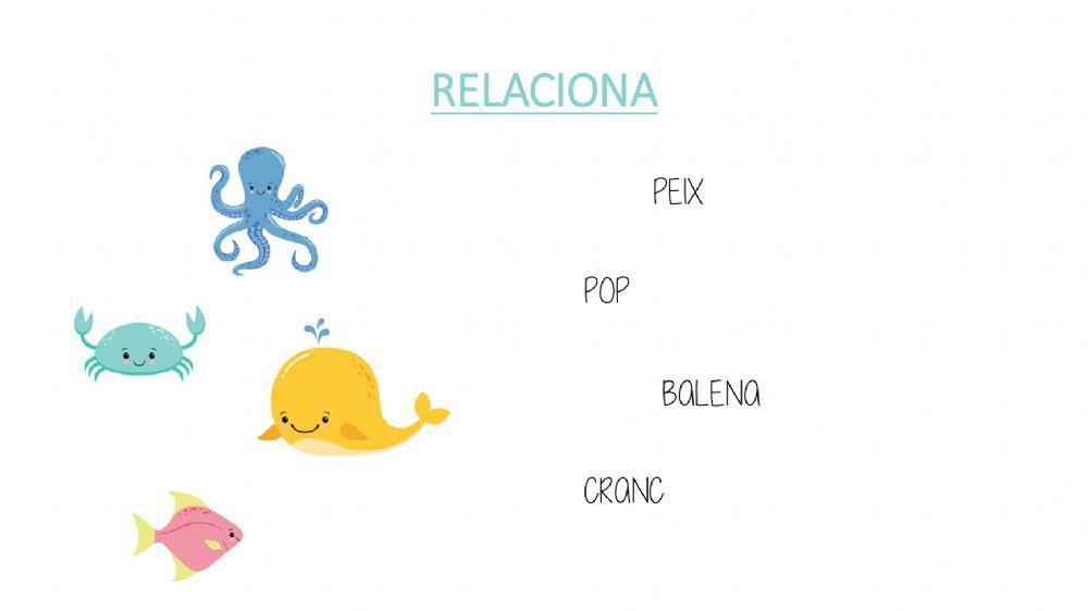 Els animals del mar p4