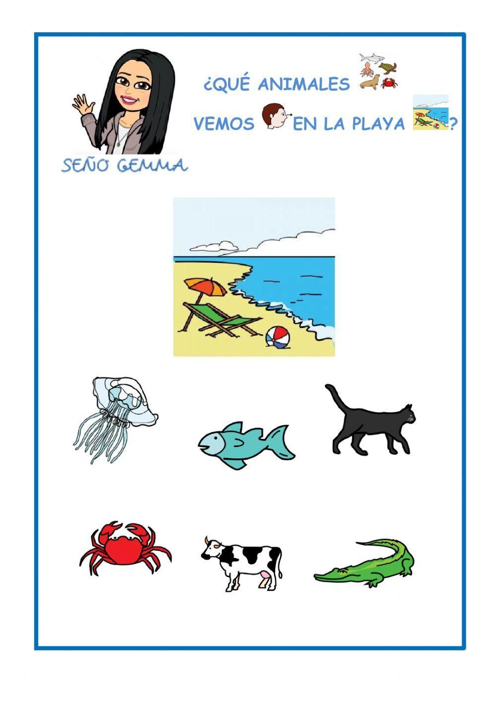 El verano:acciones, animales, objetos