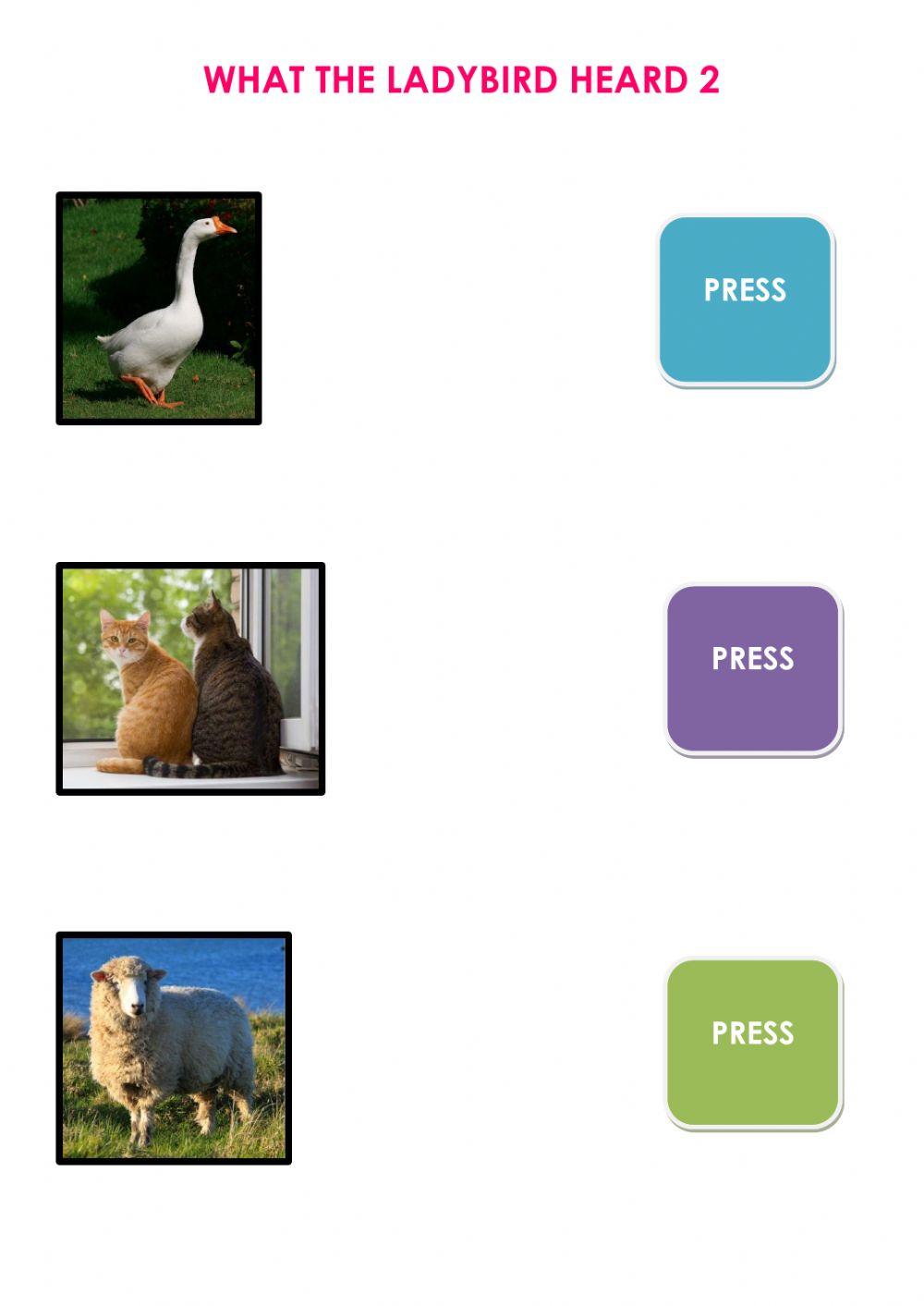 What the ladybird heard 2