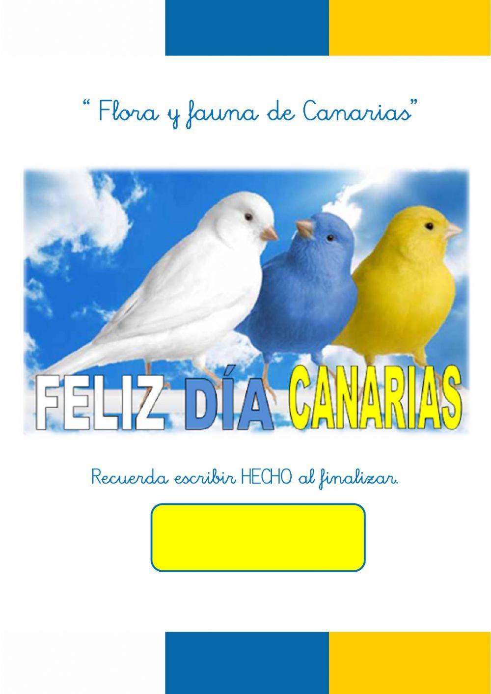 ¡Feliz día de Canarias!
