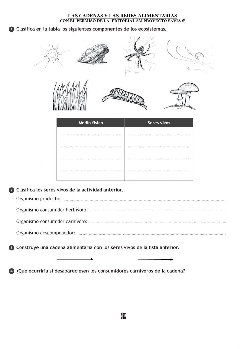 Las cadenas y las redes alimentarias