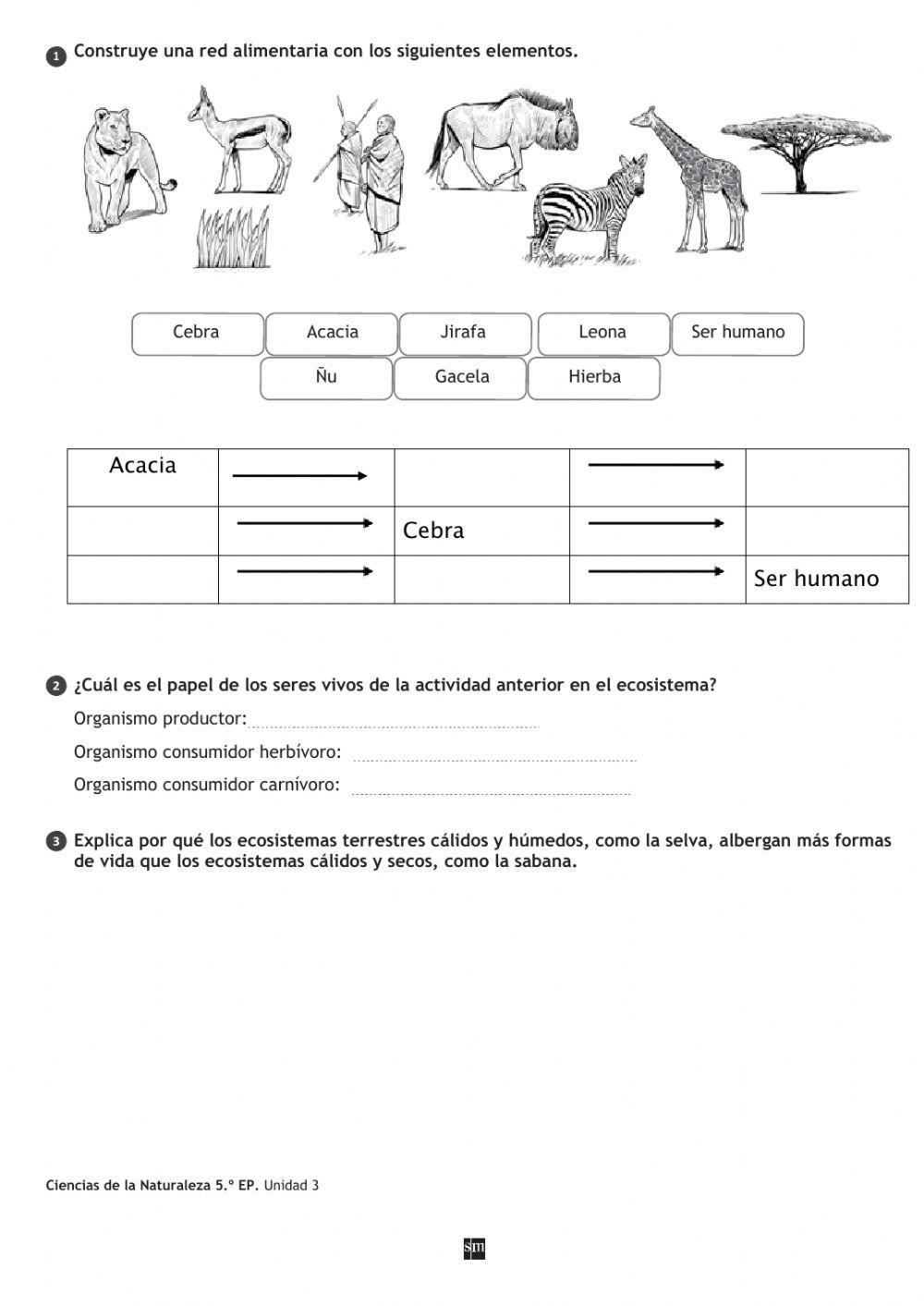 Las cadenas y las redes alimentarias