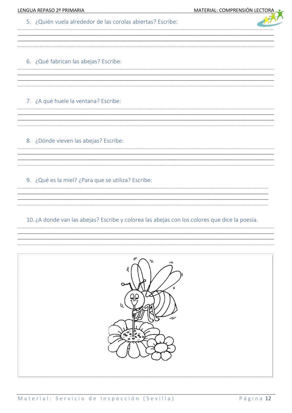 06 El romero - Lectura corta