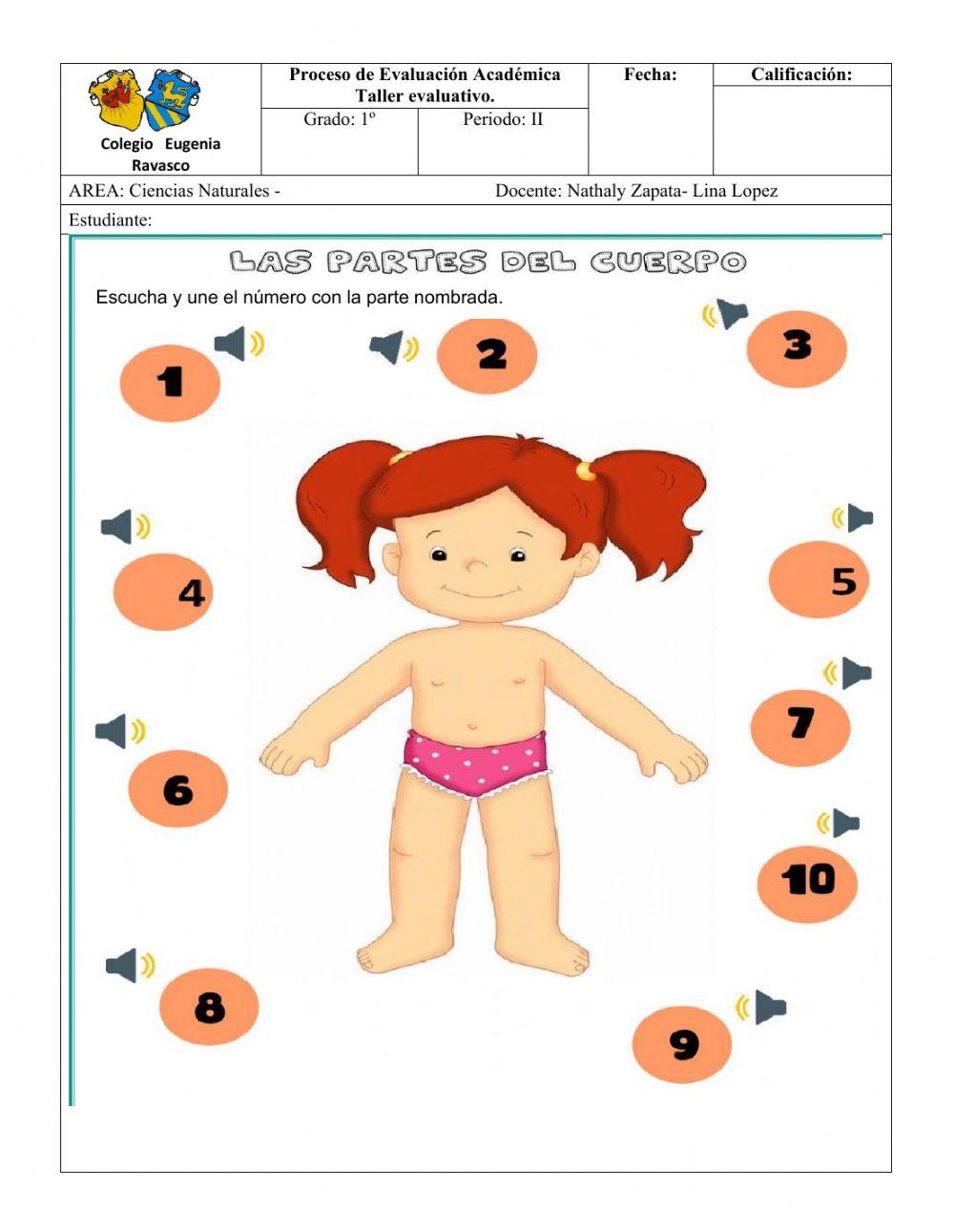 Taller evaluativo 1º ciencias naturales