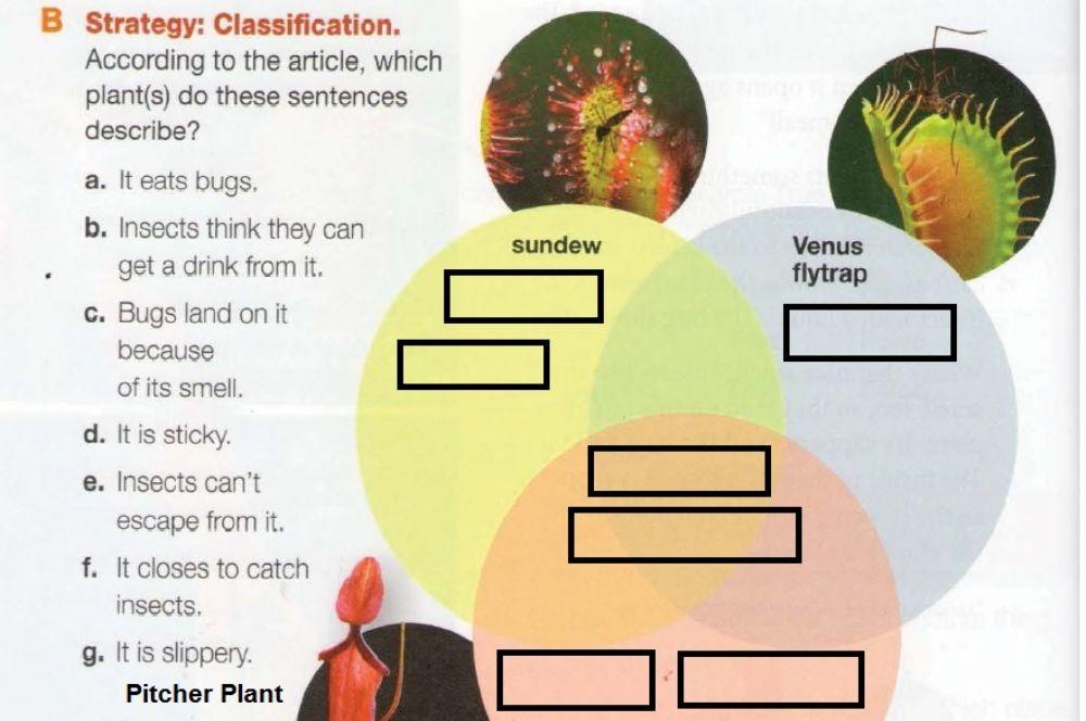 Beautiful but Deadly2