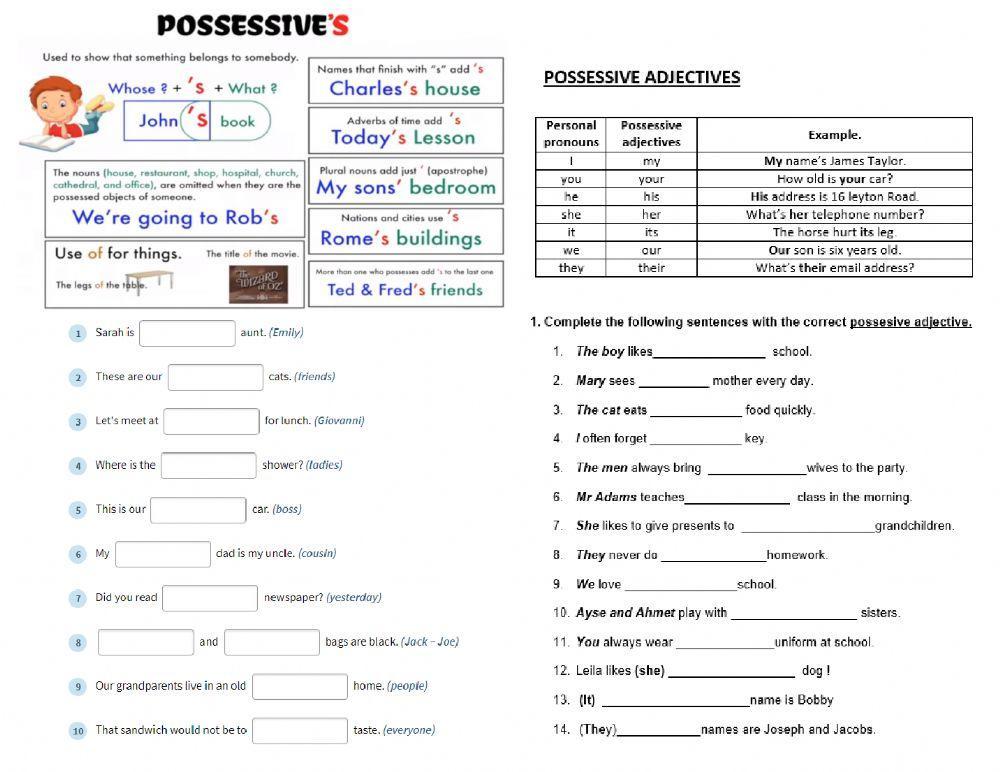Possessive case and possessive adjectives