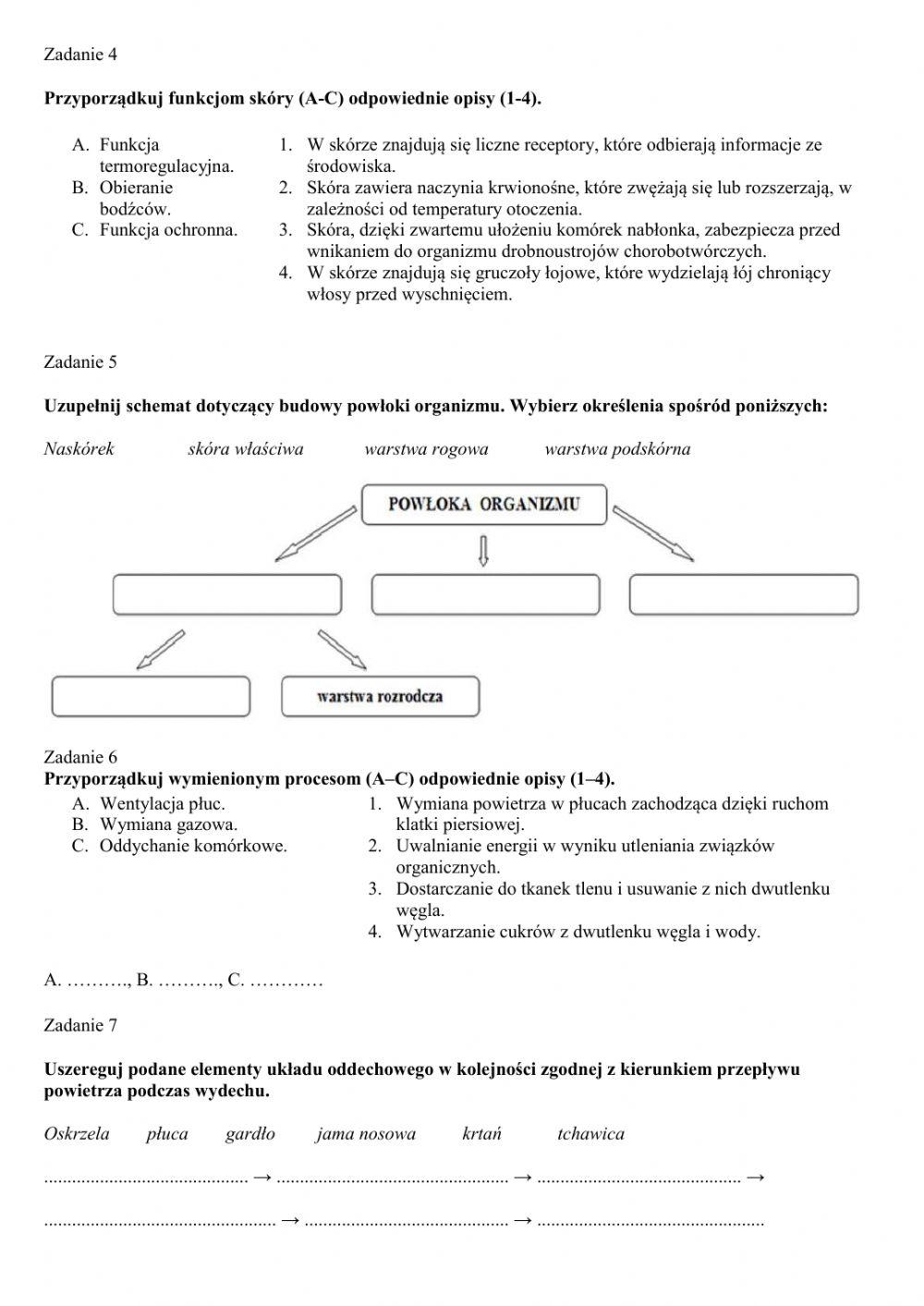 Układ oddechowy, skóra - karta pracy