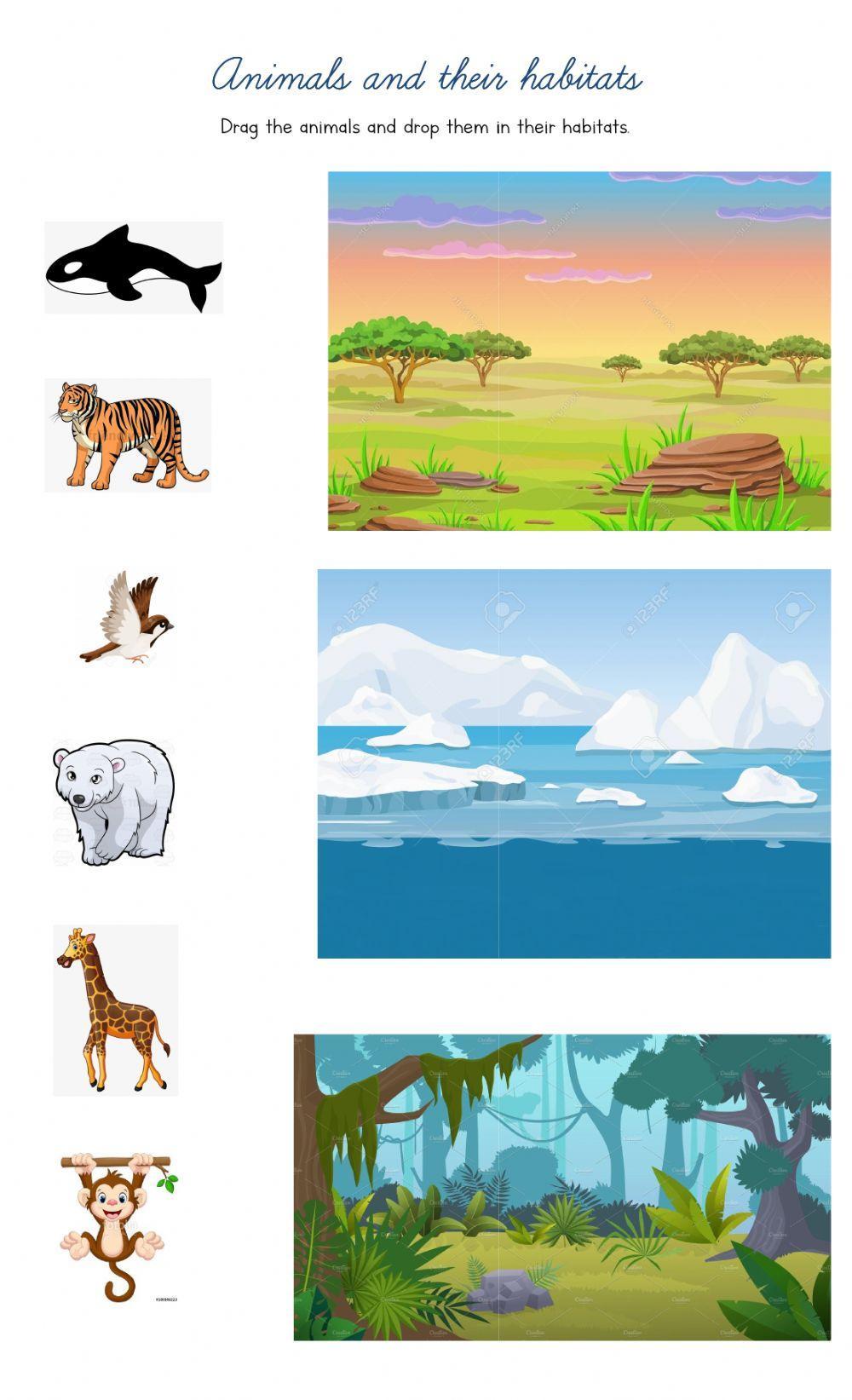 Animals and their habitats - drag and drop