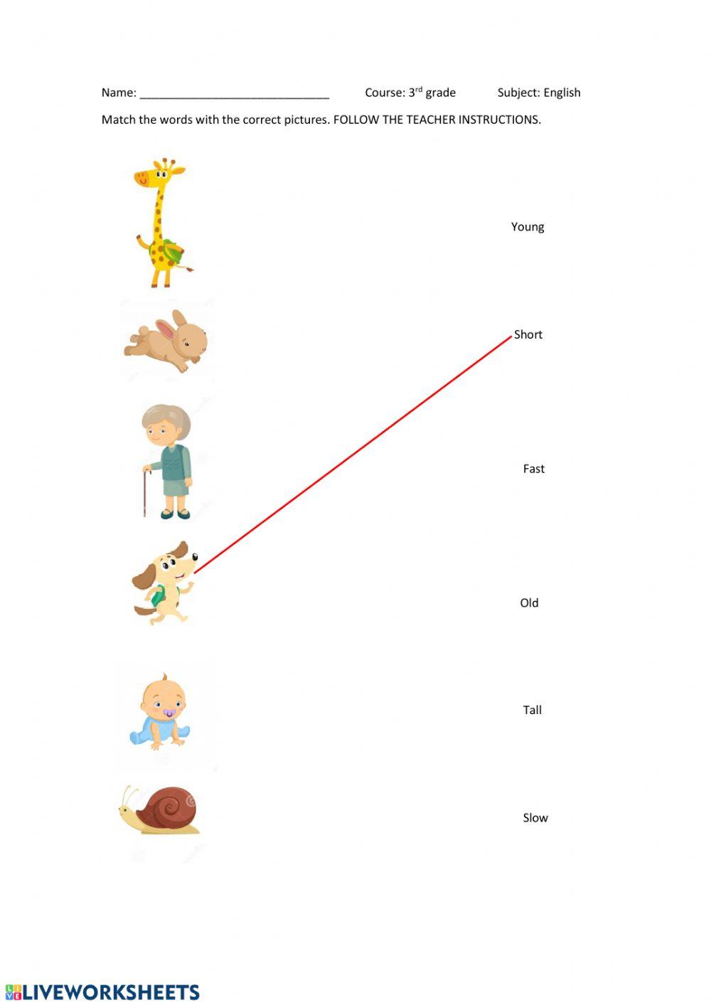 Opposites online pdf activity | Live Worksheets