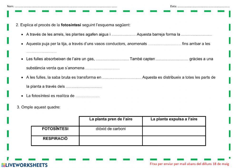 Fotosíntesi i respiració de les plantes