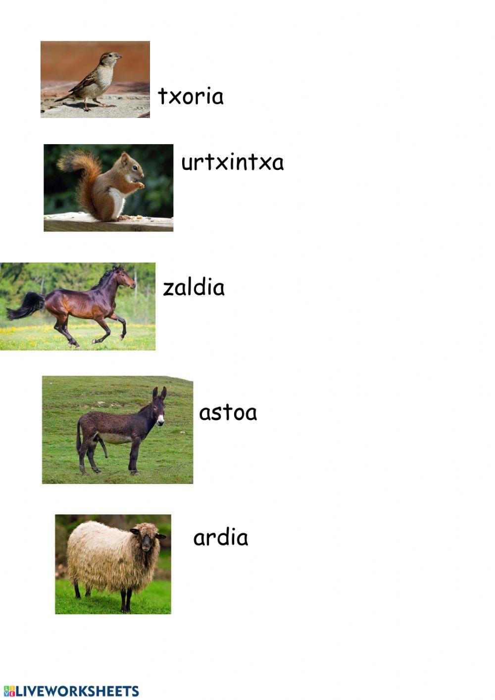 Baserriko animaliak (xehez)