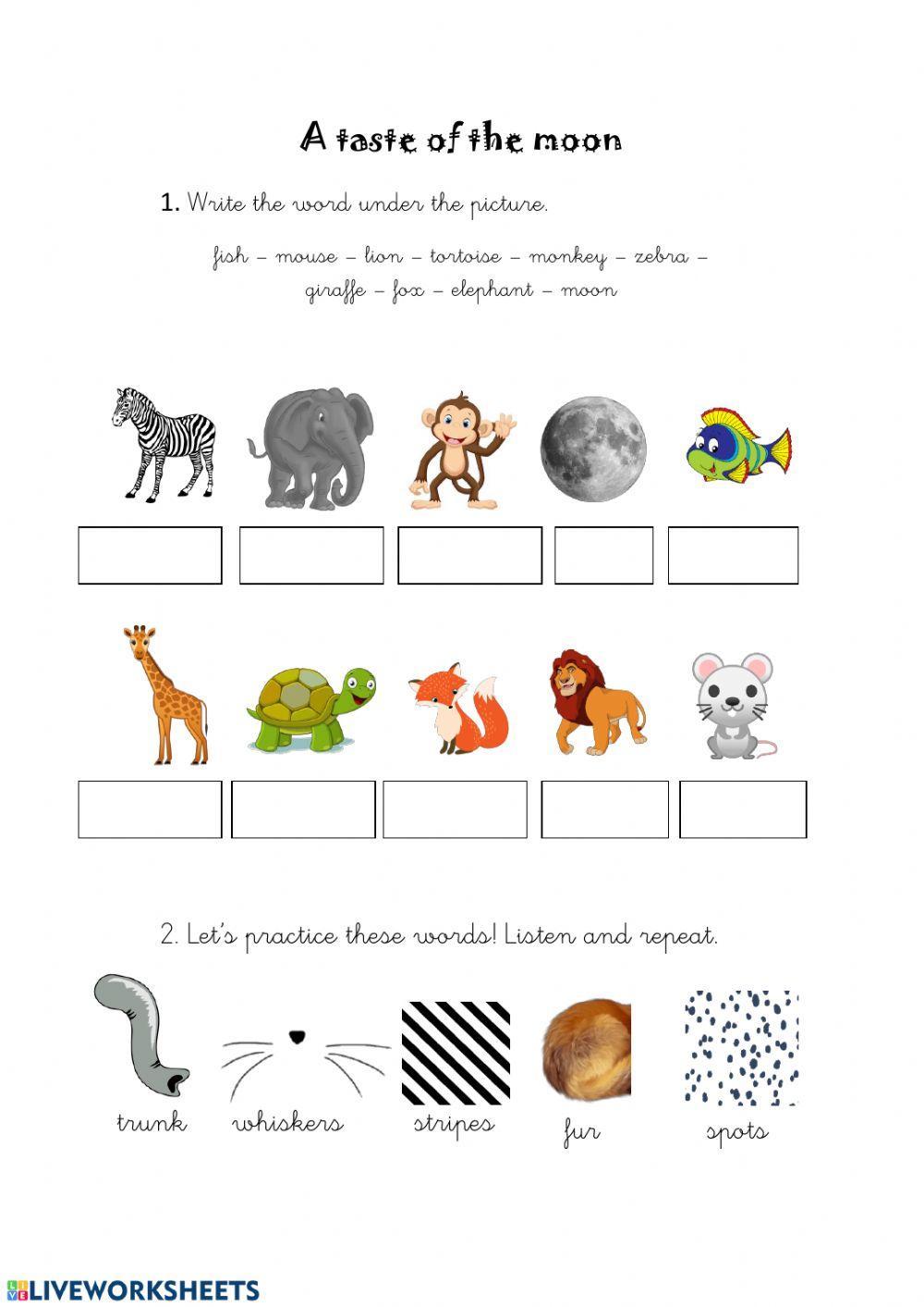 A taste of the moon - Animals' activity