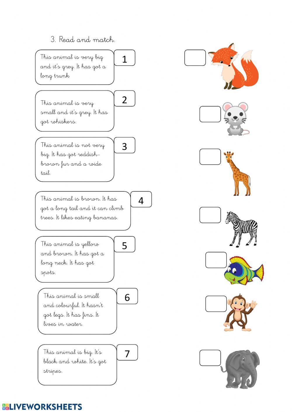 A taste of the moon - Animals' activity