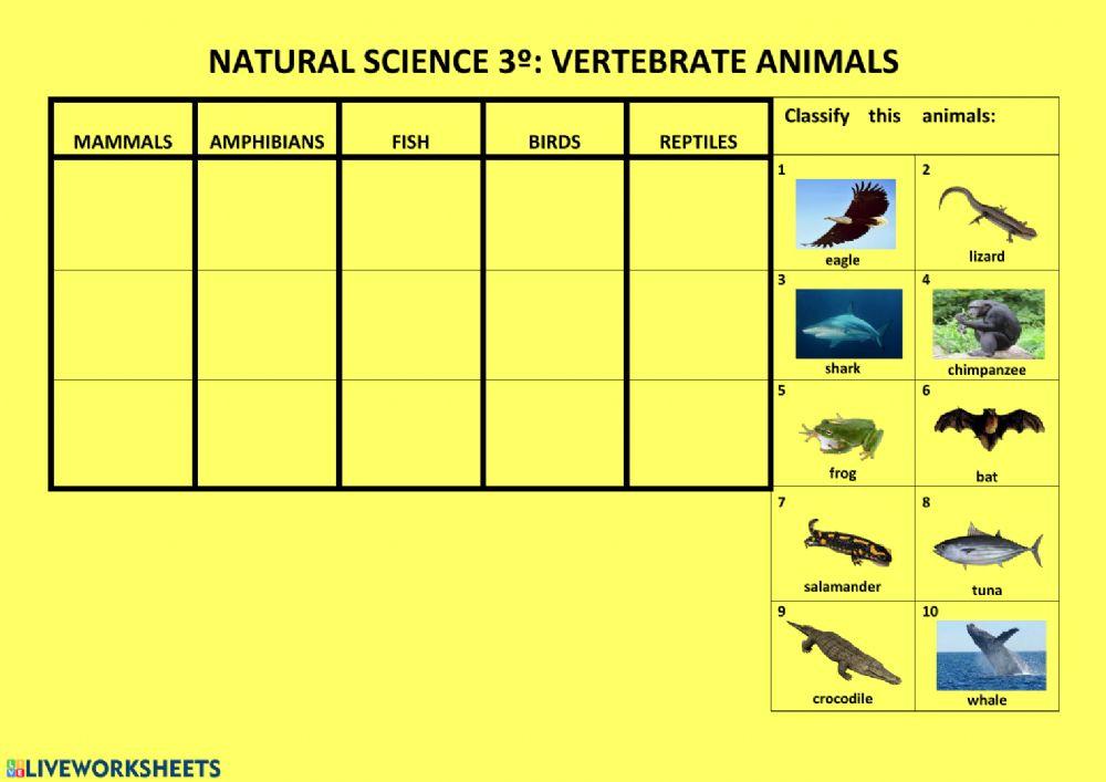 Classify vertebrate animals